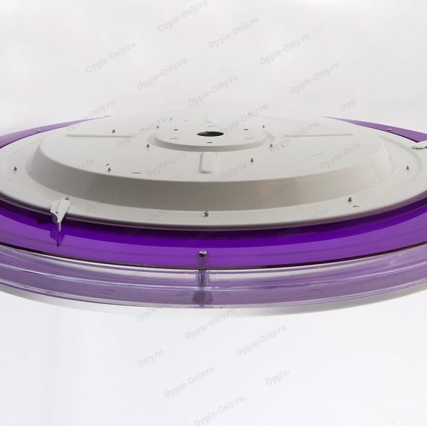 Светодиодный светильник для дома гостиной прихожей purple opple